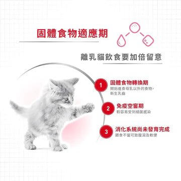 🇫🇷 ROYAL CANIN 法國皇家貓濕糧 - 離乳母貓及初生貓(肉塊)配方 CAT MOTHER &amp; BABYCAT WET 195Gx12 - FatFatPetShopHK