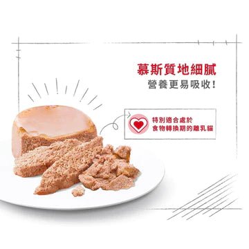 🇫🇷 ROYAL CANIN 法國皇家貓濕糧 - 離乳母貓及初生貓(肉塊)配方 CAT MOTHER &amp; BABYCAT WET 195Gx12 - FatFatPetShopHK